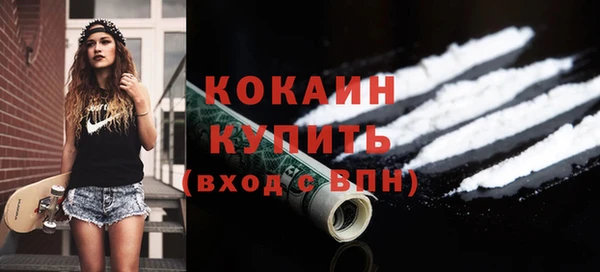 дурь Инта