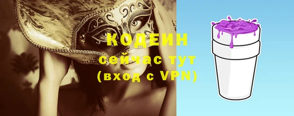 дурь Инта