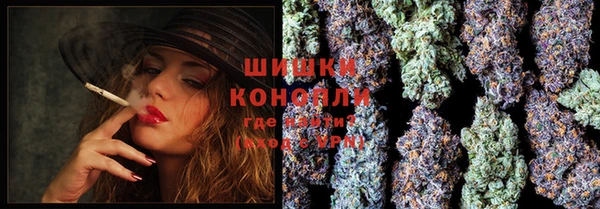 дурь Инта