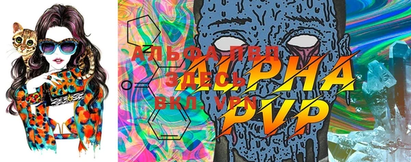 круглые Иннополис